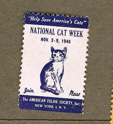 National Cat Week