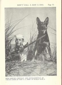 Judy_Military_Dogs